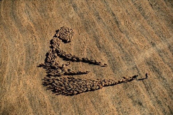 La terre vue du ciel par Yann-Arthus Bertrand