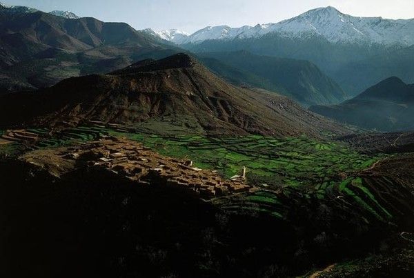 La terre vue du ciel par Yann-Arthus Bertrand