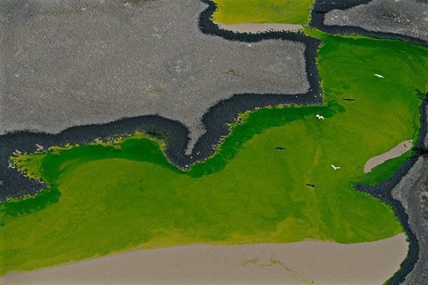 La terre vue du ciel par Yann-Arthus Bertrand