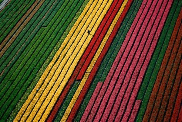 La terre vue du ciel par Yann-Arthus Bertrand