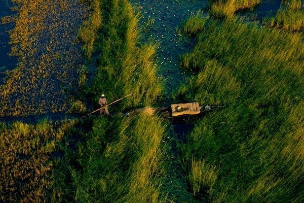 La terre vue du ciel par Yann-Arthus Bertrand