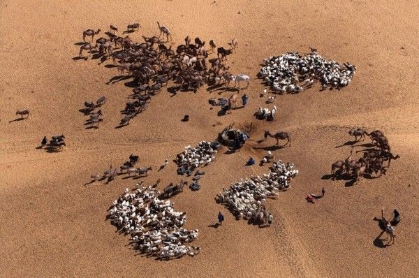 La terre vue du ciel par Yann-Arthus Bertrand