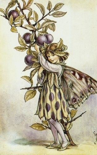 Dessins Saison Automne de Cicely Mary Barker