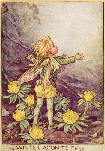 Dessins Saison Hiver de Cicely Mary Barker