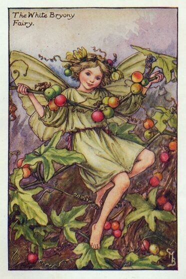 Dessins Saison Automne de Cicely Mary Barker