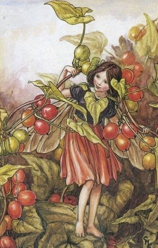 Dessins Saison Automne de Cicely Mary Barker