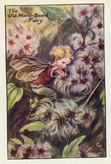 Dessins Saison Hiver de Cicely Mary Barker