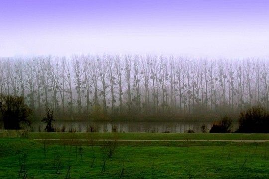 Images entre ciel terre et mer