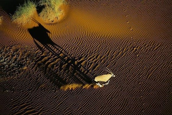 La terre vue du ciel par Yann-Arthus Bertrand