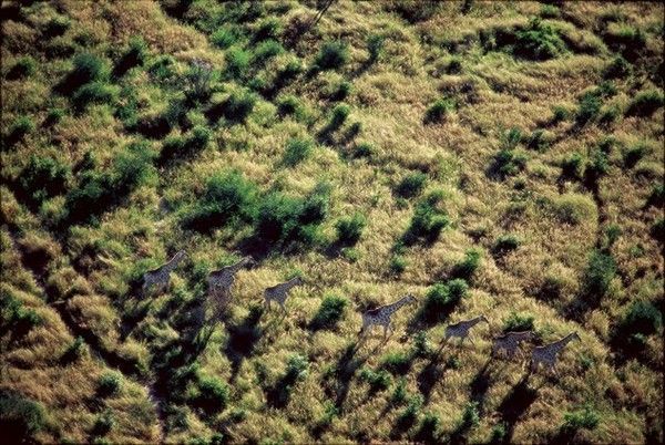 La terre vue du ciel par Yann-Arthus Bertrand