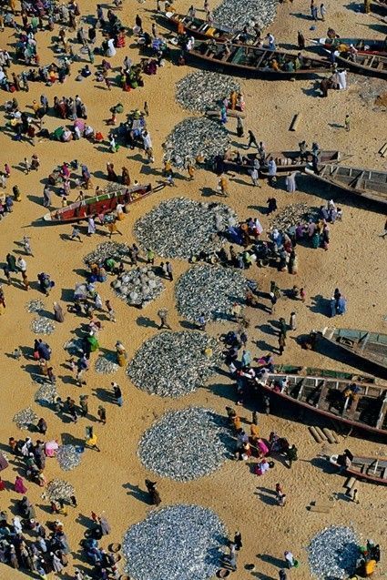 La terre vue du ciel par Yann-Arthus Bertrand