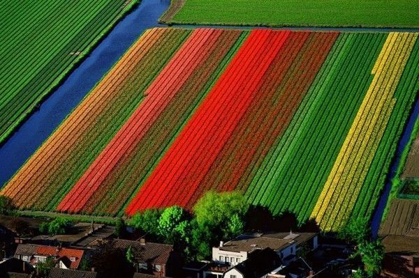 La terre vue du ciel par Yann-Arthus Bertrand