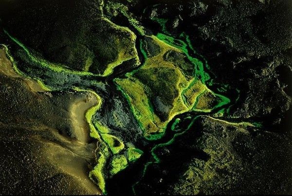 La terre vue du ciel par Yann-Arthus Bertrand