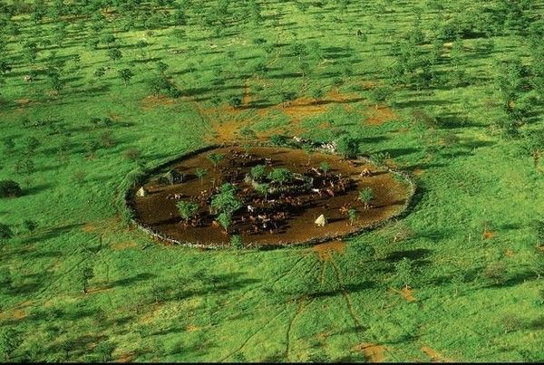 La terre vue du ciel par Yann-Arthus Bertrand