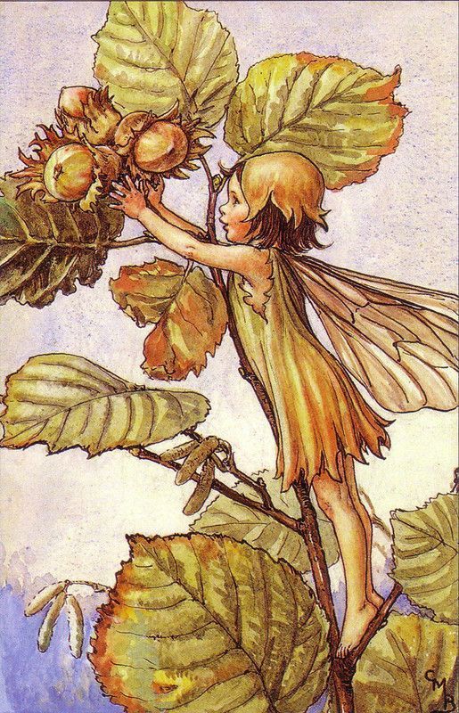 Dessins Saison Automne de Cicely Mary Barker