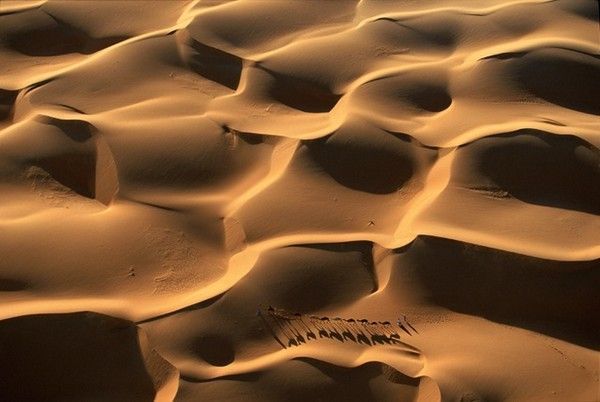 La terre vue du ciel par Yann-Arthus Bertrand