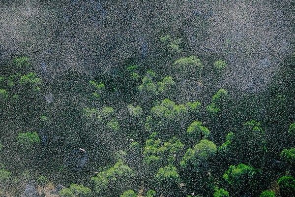 La terre vue du ciel par Yann-Arthus Bertrand