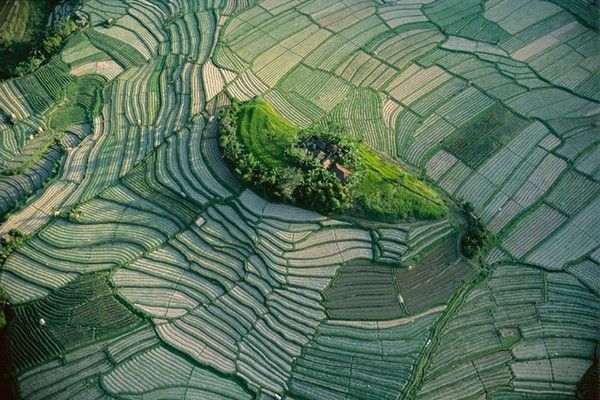 La terre vue du ciel par Yann-Arthus Bertrand