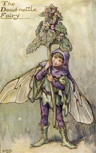 Dessins Saison Hiver de Cicely Mary Barker