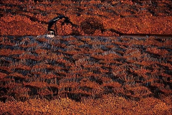 La terre vue du ciel par Yann-Arthus Bertrand