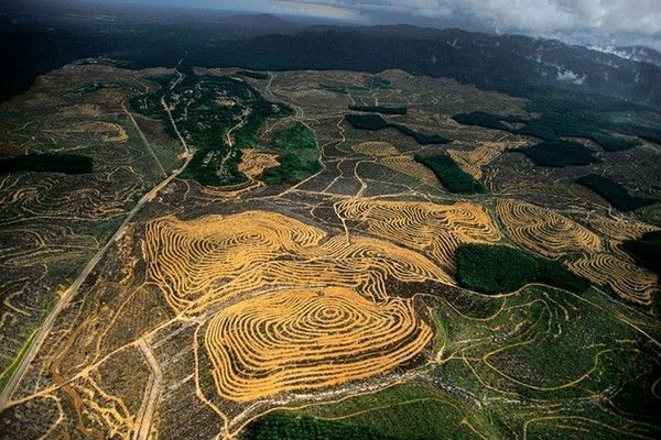 La terre vue du ciel par Yann-Arthus Bertrand