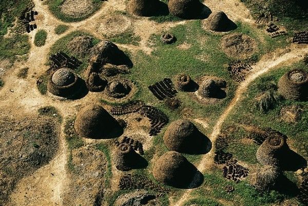 La terre vue du ciel par Yann-Arthus Bertrand