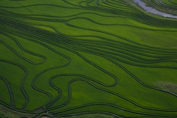 La terre vue du ciel par Yann-Arthus Bertrand