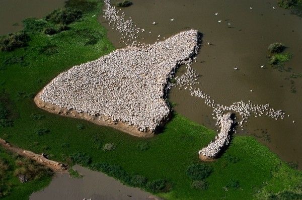 La terre vue du ciel par Yann-Arthus Bertrand