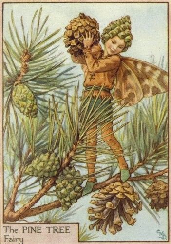 Dessins Saison Hiver de Cicely Mary Barker