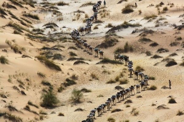 La terre vue du ciel par Yann-Arthus Bertrand