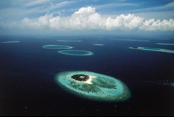 La terre vue du ciel par Yann-Arthus Bertrand