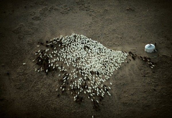 La terre vue du ciel par Yann-Arthus Bertrand