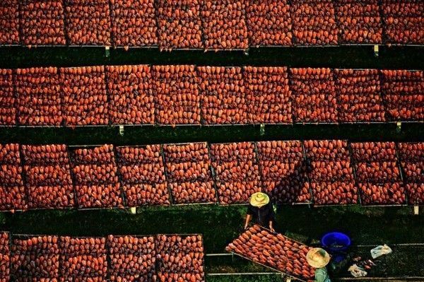 La terre vue du ciel par Yann-Arthus Bertrand