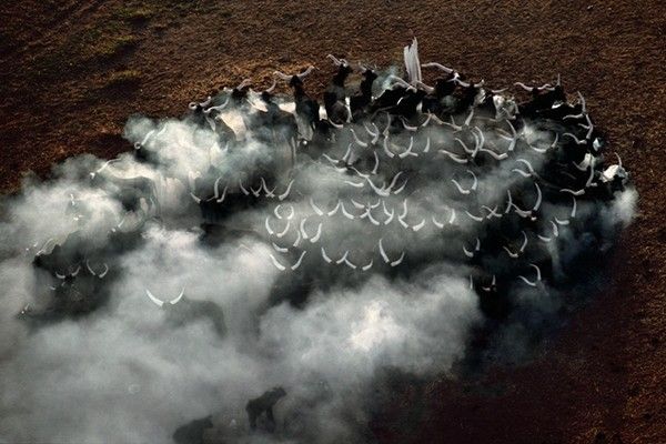 La terre vue du ciel par Yann-Arthus Bertrand