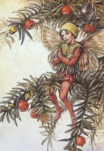 Dessins Saison Hiver de Cicely Mary Barker