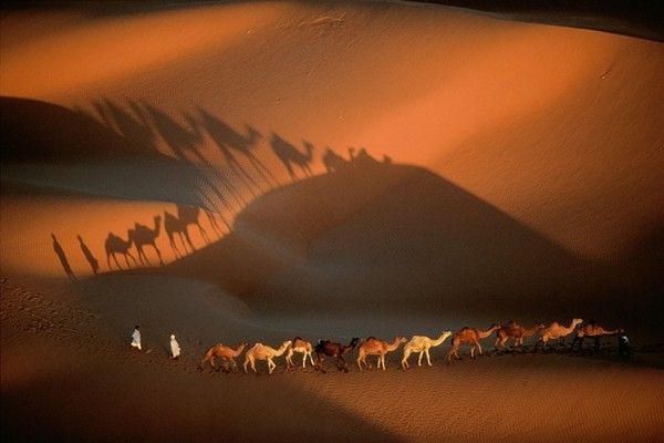 La terre vue du ciel par Yann-Arthus Bertrand