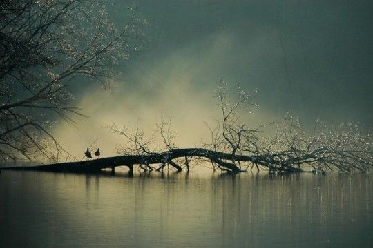 Images entre ciel terre et mer