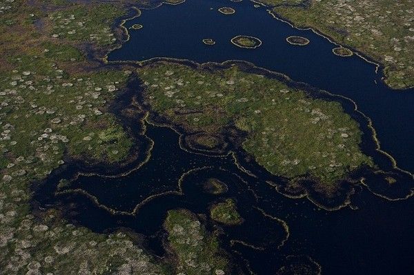 La terre vue du ciel par Yann-Arthus Bertrand