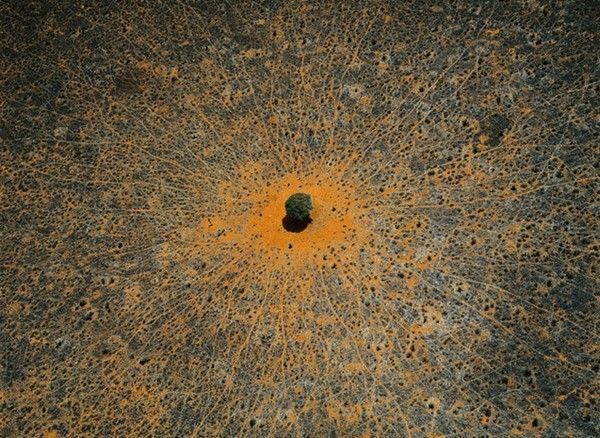 La terre vue du ciel par Yann-Arthus Bertrand