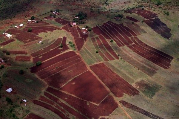 La terre vue du ciel par Yann-Arthus Bertrand