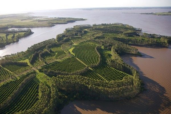 La terre vue du ciel par Yann-Arthus Bertrand