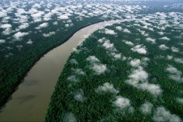 La terre vue du ciel par Yann-Arthus Bertrand