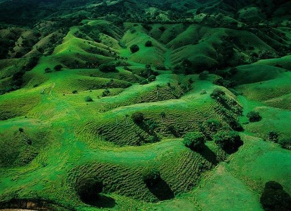 La terre vue du ciel par Yann-Arthus Bertrand