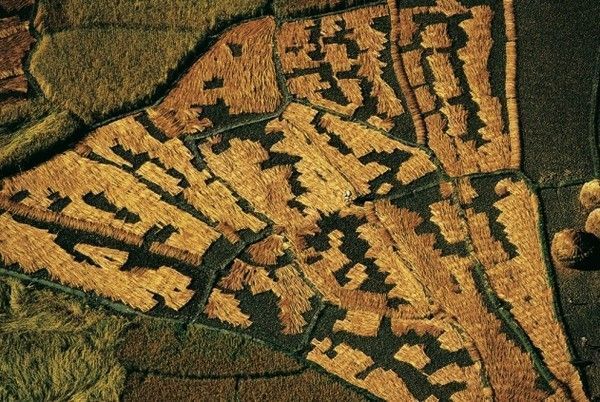 La terre vue du ciel par Yann-Arthus Bertrand