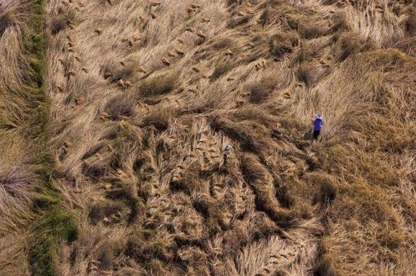 La terre vue du ciel par Yann-Arthus Bertrand