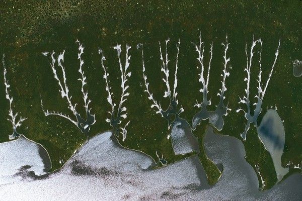 La terre vue du ciel par Yann-Arthus Bertrand