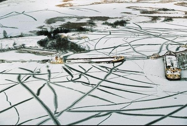 La terre vue du ciel par Yann-Arthus Bertrand