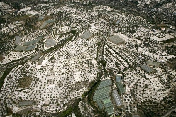 La terre vue du ciel par Yann-Arthus Bertrand