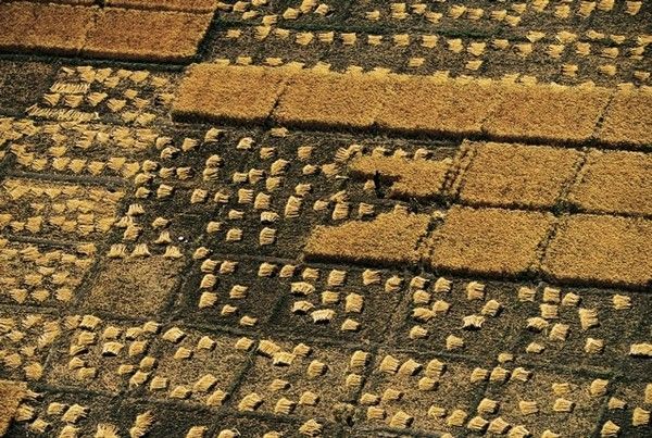 La terre vue du ciel par Yann-Arthus Bertrand