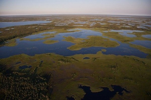 La terre vue du ciel par Yann-Arthus Bertrand